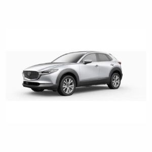 Mazda CX-30 2.0G High